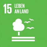 SDG Icon Leben an Land