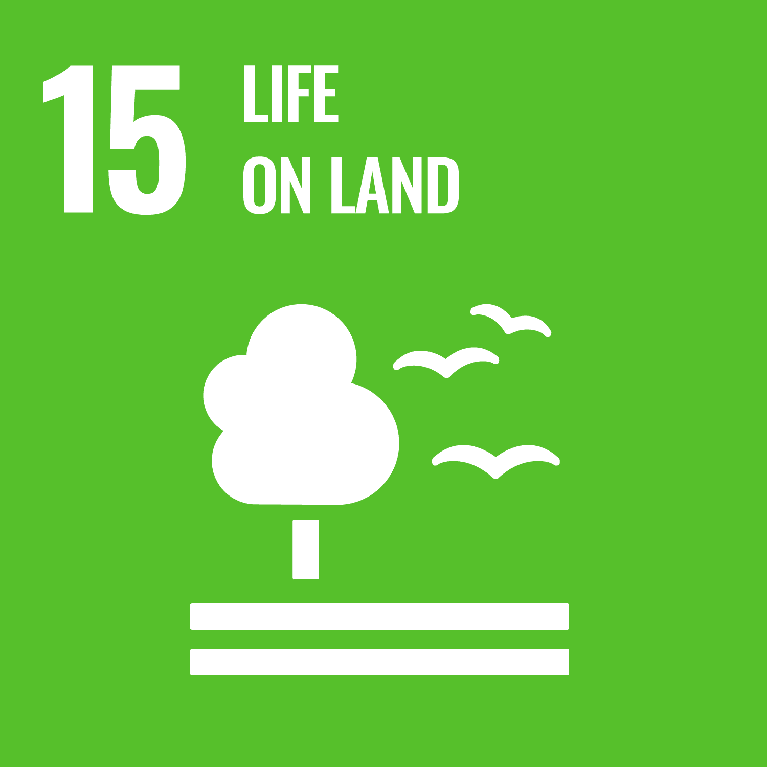 Numbat SDG 15 Life on Land