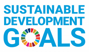 Sustainable Development Goals Logo